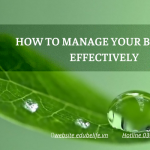 How to manage your business effectively