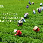 EDUBELIFE – FINANCIAL EXPERT FOR VIETNAMESE AGRICULTURAL ENTERPRISES