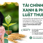 HAI BỘ CÔNG CỤ ĐO LƯỜNG HIỆU QUẢ LƯƠNG, THƯỞNG 2025 & CHÍNH SÁCH KHUYẾN MẠI TẾT 2026